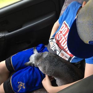 Meet your Posher, Carl